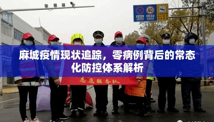 麻城疫情现状追踪，零病例背后的常态化防控体系解析