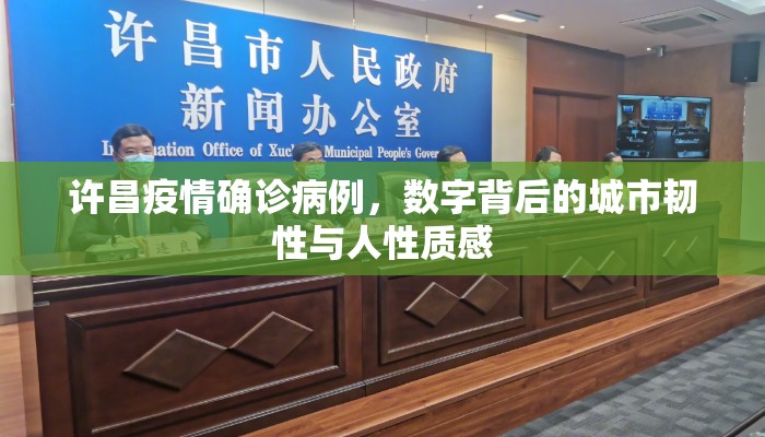 许昌疫情确诊病例，数字背后的城市韧性与人性质感