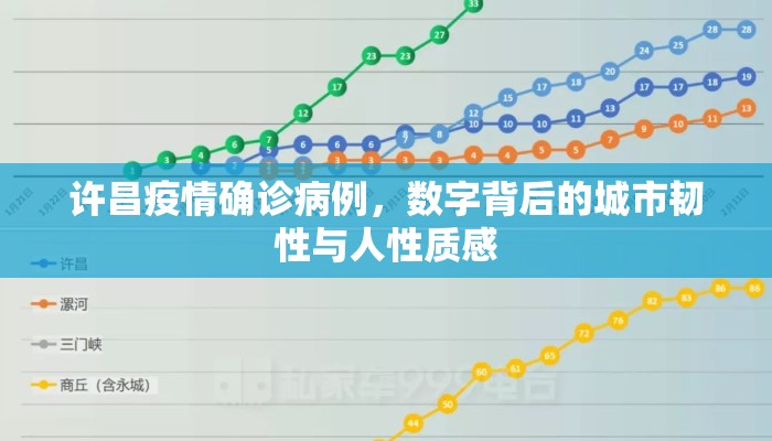 许昌疫情确诊病例，数字背后的城市韧性与人性质感