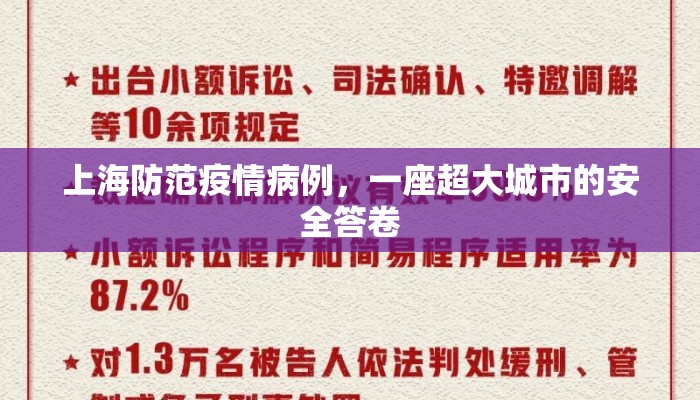 上海防范疫情病例，一座超大城市的安全答卷