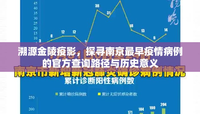 溯源金陵疫影，探寻南京最早疫情病例的官方查询路径与历史意义