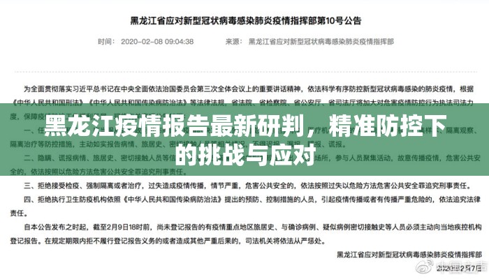 黑龙江疫情报告最新研判，精准防控下的挑战与应对