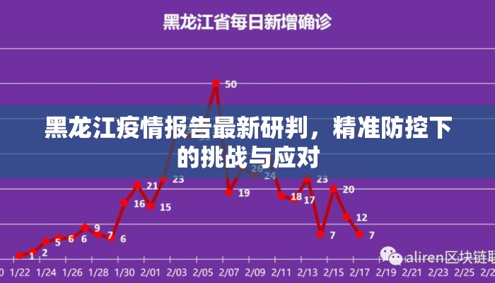 黑龙江疫情报告最新研判，精准防控下的挑战与应对