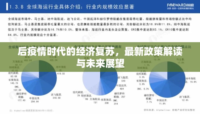 后疫情时代的经济复苏，最新政策解读与未来展望