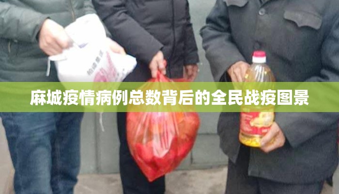 麻城疫情病例总数背后的全民战疫图景