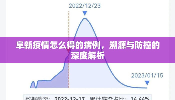 阜新疫情怎么得的病例，溯源与防控的深度解析