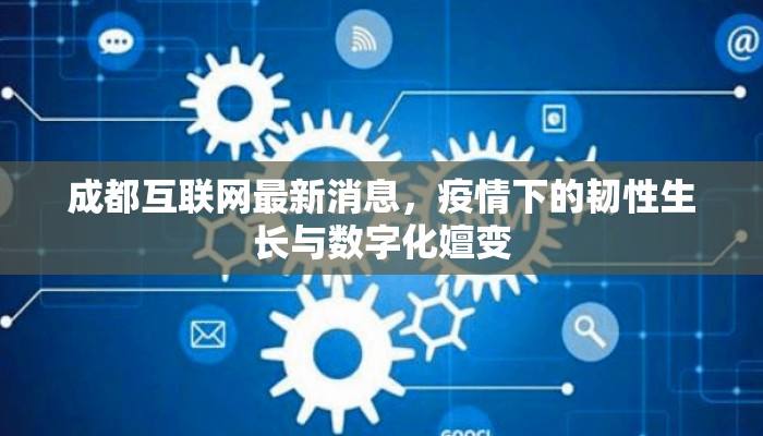 成都互联网最新消息，疫情下的韧性生长与数字化嬗变