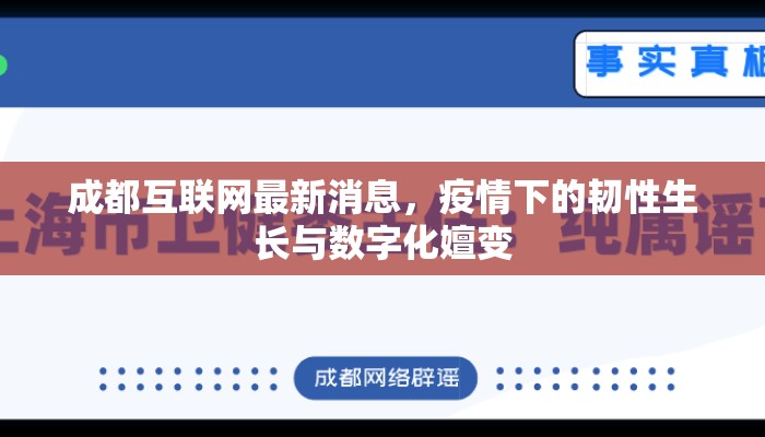 成都互联网最新消息，疫情下的韧性生长与数字化嬗变