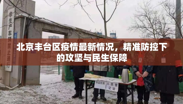 北京丰台区疫情最新情况，精准防控下的攻坚与民生保障