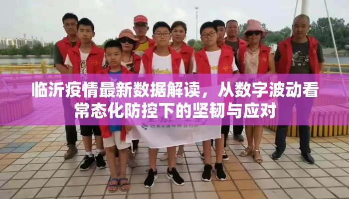 临沂疫情最新数据解读，从数字波动看常态化防控下的坚韧与应对