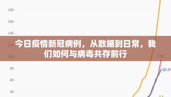 今日疫情新冠病例，从数据到日常，我们如何与病毒共存前行