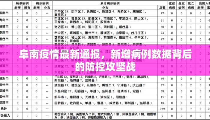 阜南疫情最新通报，新增病例数据背后的防控攻坚战