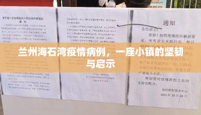 兰州海石湾疫情病例，一座小镇的坚韧与启示