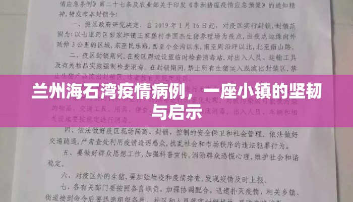 兰州海石湾疫情病例，一座小镇的坚韧与启示