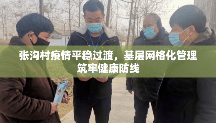 张沟村疫情平稳过渡，基层网格化管理筑牢健康防线