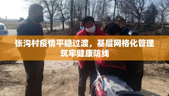 张沟村疫情平稳过渡，基层网格化管理筑牢健康防线