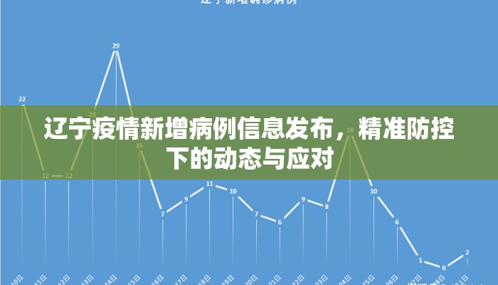 辽宁疫情新增病例信息发布，精准防控下的动态与应对