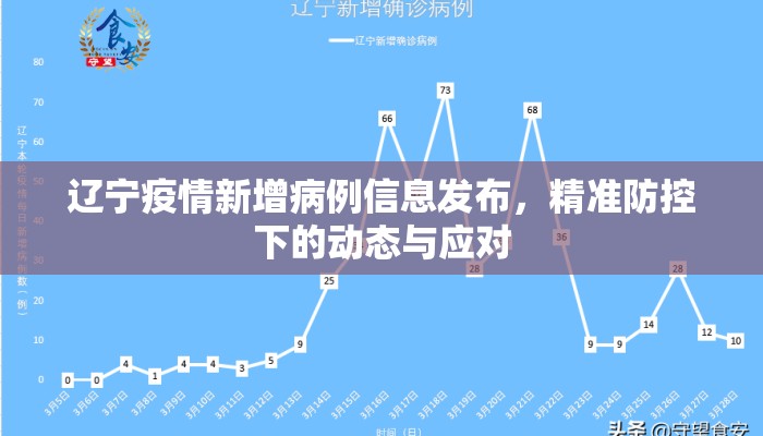 辽宁疫情新增病例信息发布，精准防控下的动态与应对