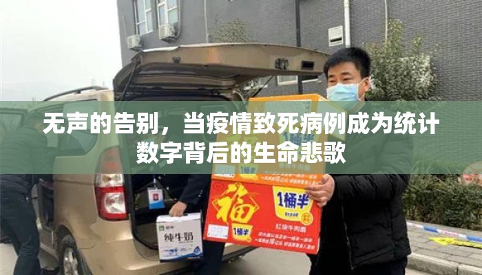 无声的告别，当疫情致死病例成为统计数字背后的生命悲歌