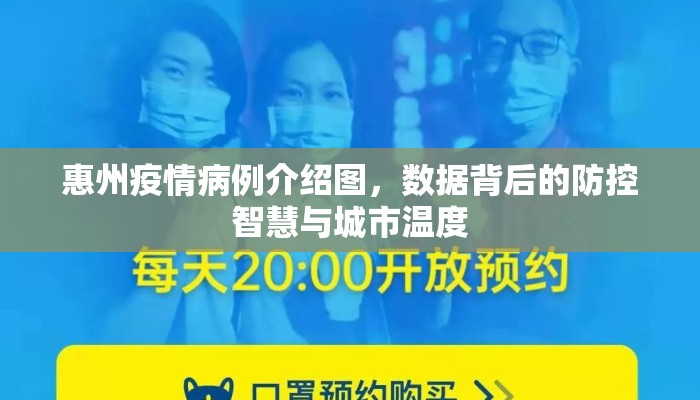 惠州疫情病例介绍图，数据背后的防控智慧与城市温度
