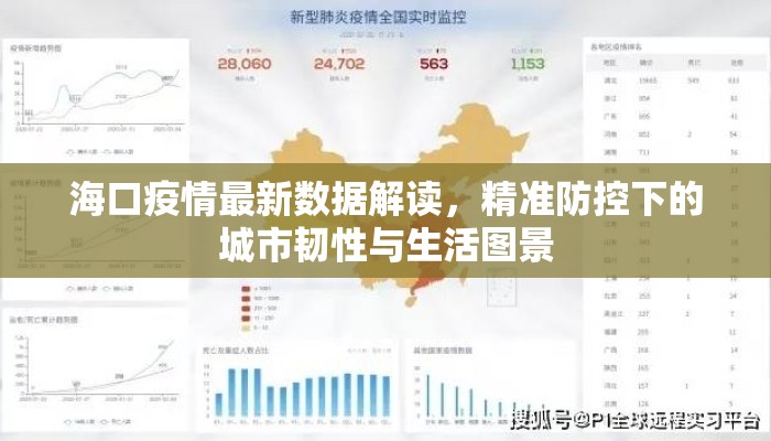 海口疫情最新数据解读，精准防控下的城市韧性与生活图景