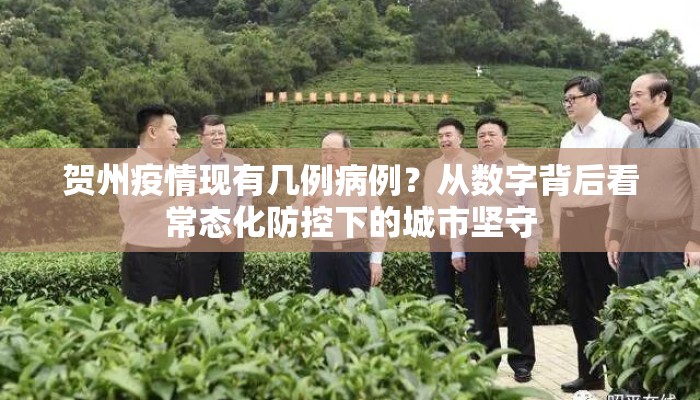 贺州疫情现有几例病例？从数字背后看常态化防控下的城市坚守