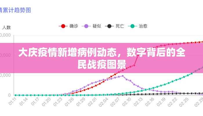 大庆疫情新增病例动态，数字背后的全民战疫图景