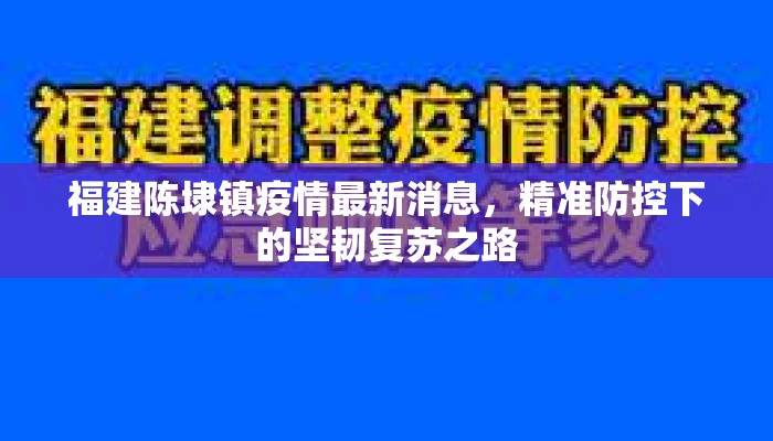 福建陈埭镇疫情最新消息，精准防控下的坚韧复苏之路