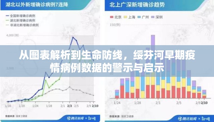 从图表解析到生命防线，绥芬河早期疫情病例数据的警示与启示