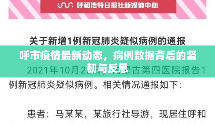 呼市疫情最新动态，病例数据背后的坚韧与反思