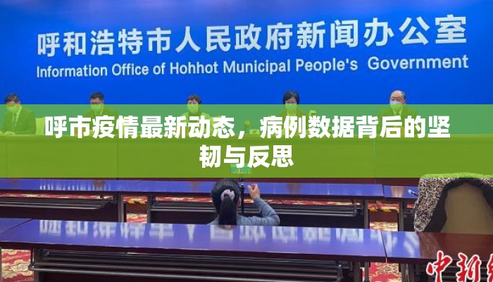 呼市疫情最新动态，病例数据背后的坚韧与反思