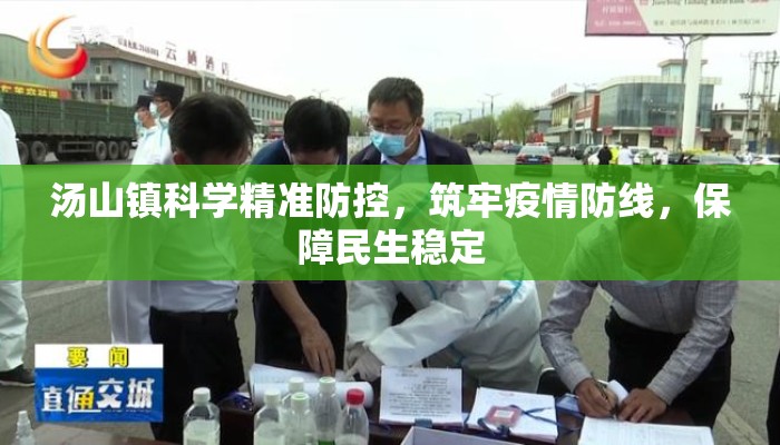 汤山镇科学精准防控，筑牢疫情防线，保障民生稳定