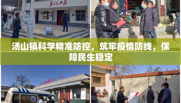 汤山镇科学精准防控，筑牢疫情防线，保障民生稳定