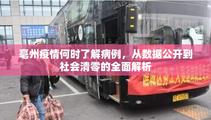 亳州疫情何时了解病例，从数据公开到社会清零的全面解析