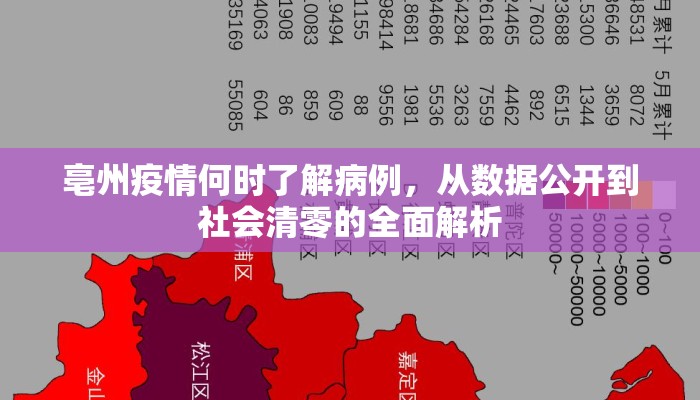 亳州疫情何时了解病例，从数据公开到社会清零的全面解析
