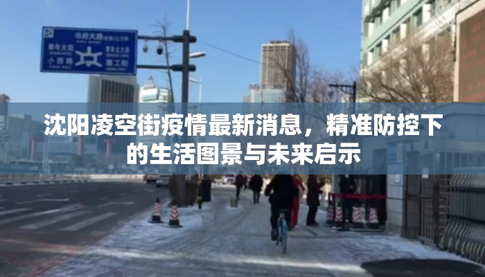 沈阳凌空街疫情最新消息，精准防控下的生活图景与未来启示