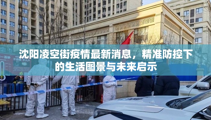 沈阳凌空街疫情最新消息，精准防控下的生活图景与未来启示