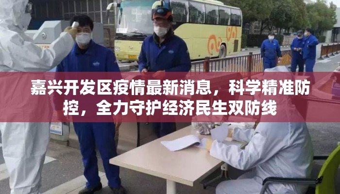 嘉兴开发区疫情最新消息，科学精准防控，全力守护经济民生双防线