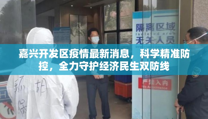 嘉兴开发区疫情最新消息，科学精准防控，全力守护经济民生双防线