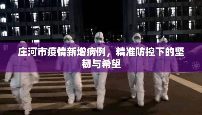 庄河市疫情新增病例，精准防控下的坚韧与希望