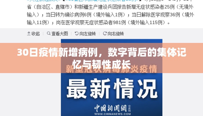 30日疫情新增病例，数字背后的集体记忆与韧性成长
