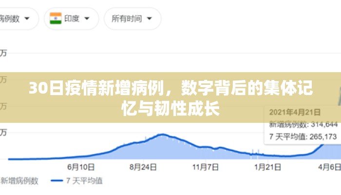30日疫情新增病例，数字背后的集体记忆与韧性成长