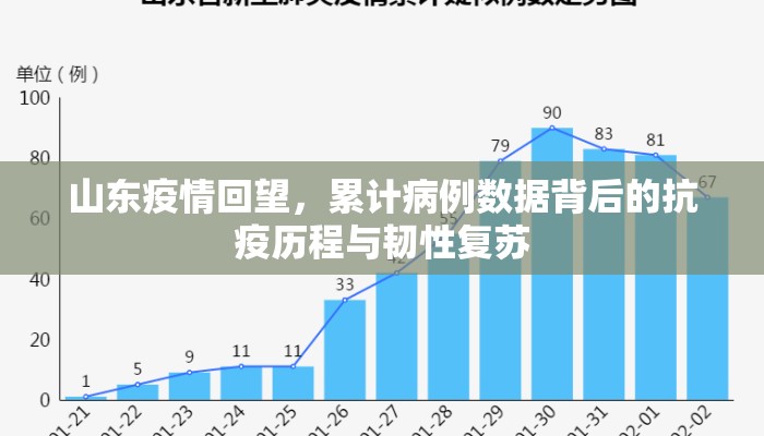 山东疫情回望，累计病例数据背后的抗疫历程与韧性复苏