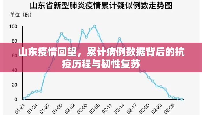 山东疫情回望，累计病例数据背后的抗疫历程与韧性复苏