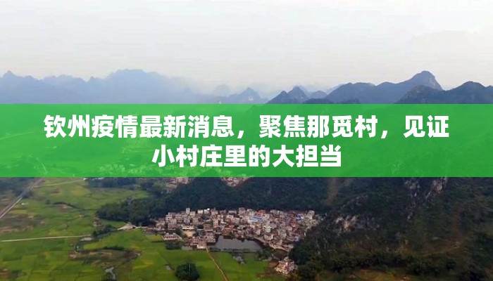 钦州疫情最新消息，聚焦那觅村，见证小村庄里的大担当