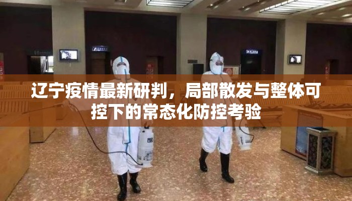 辽宁疫情最新研判，局部散发与整体可控下的常态化防控考验