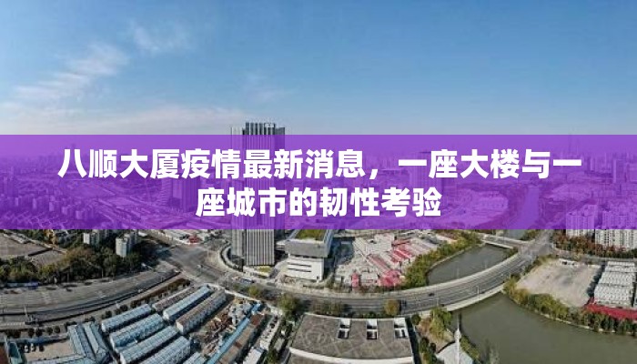 八顺大厦疫情最新消息，一座大楼与一座城市的韧性考验