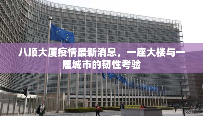 八顺大厦疫情最新消息，一座大楼与一座城市的韧性考验