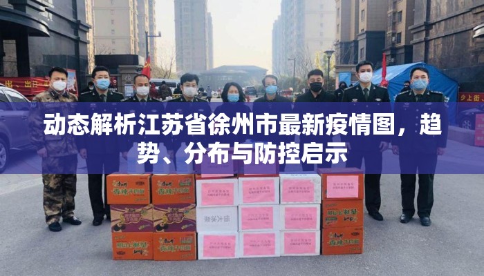 动态解析江苏省徐州市最新疫情图，趋势、分布与防控启示