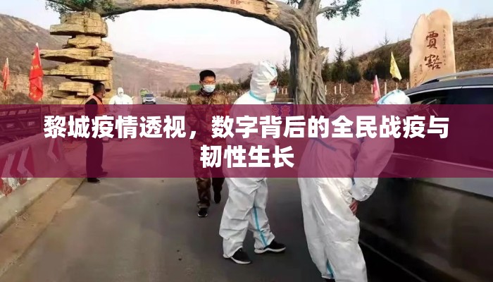 黎城疫情透视，数字背后的全民战疫与韧性生长